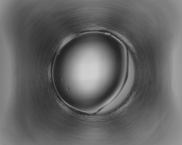 X0000113740889200909231150