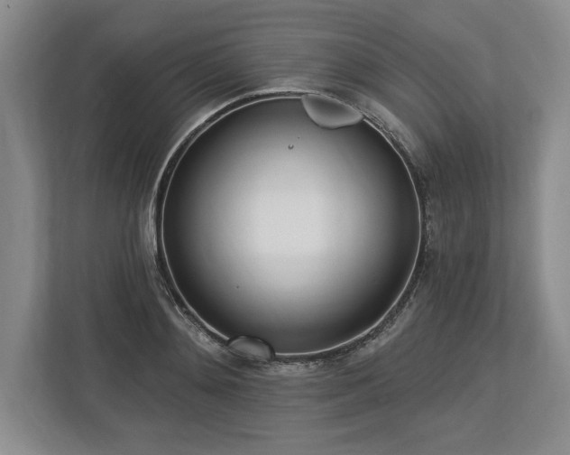 X0000113740892200909231150