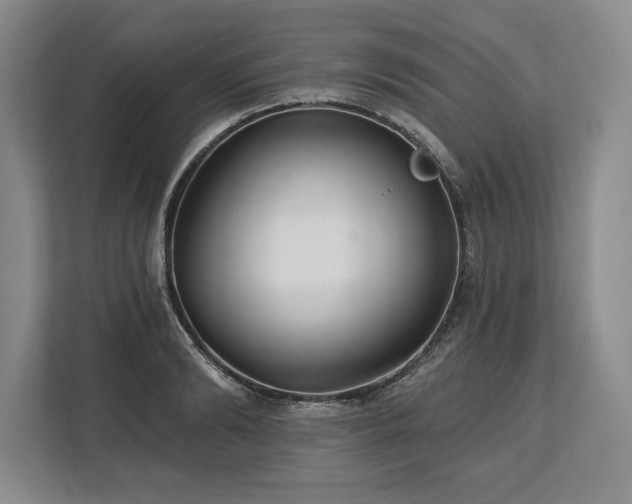 X0000113740894200909231150