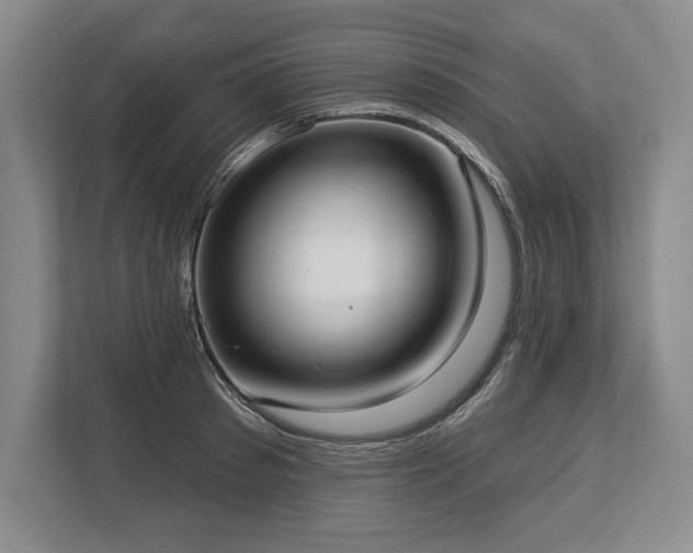 X0000113740897200909231150