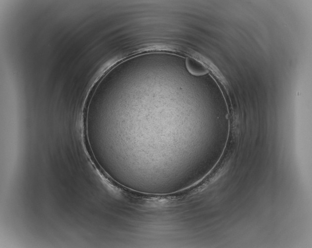 X0000113740898200909231150