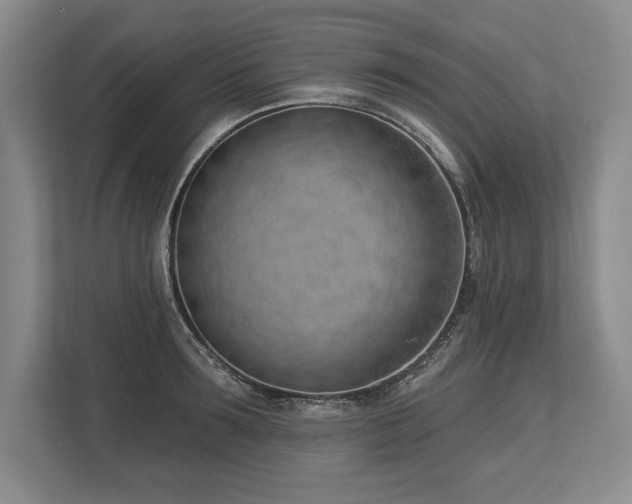 X0000113740899200909231150