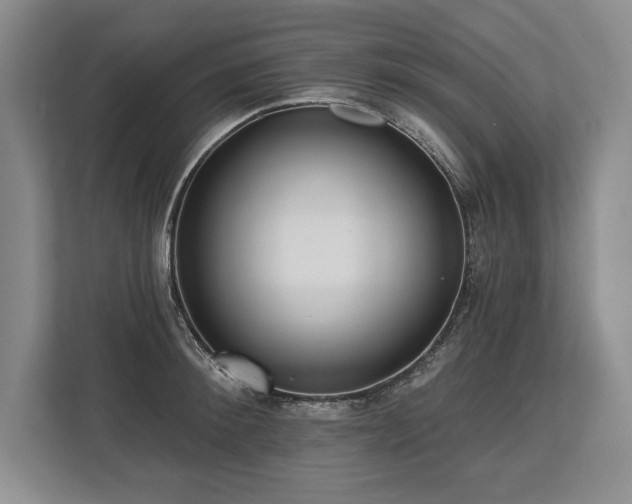 X0000113740900200909231150