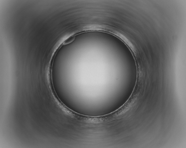 X0000113740901200909231150