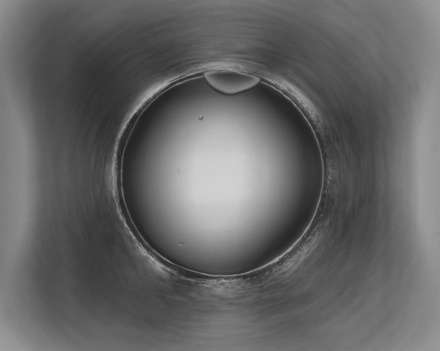 X0000113740902200909231150