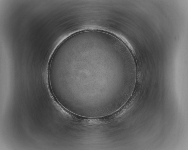 X0000113740903200909231150