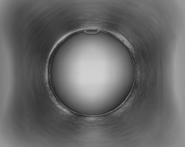 X0000113740904200909231150