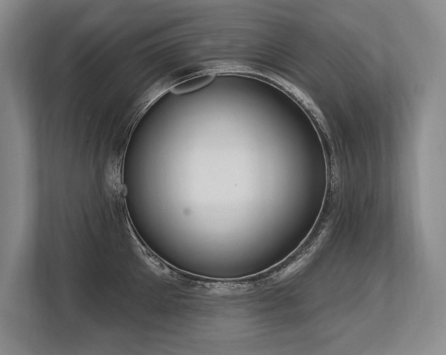 X0000113740905200909231150