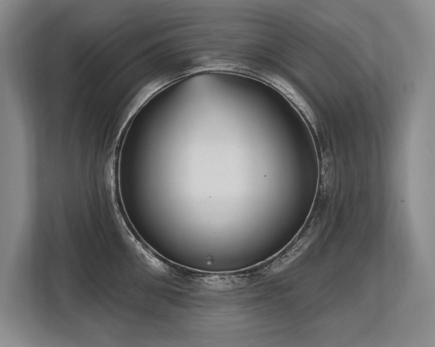 X0000113740906200909231150