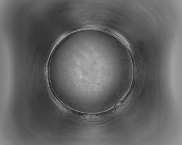 X0000113740907200909231150