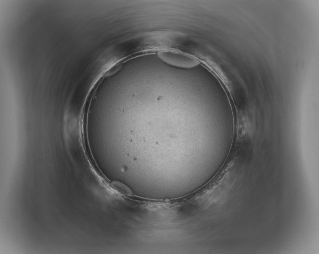 X0000113740909200909231150