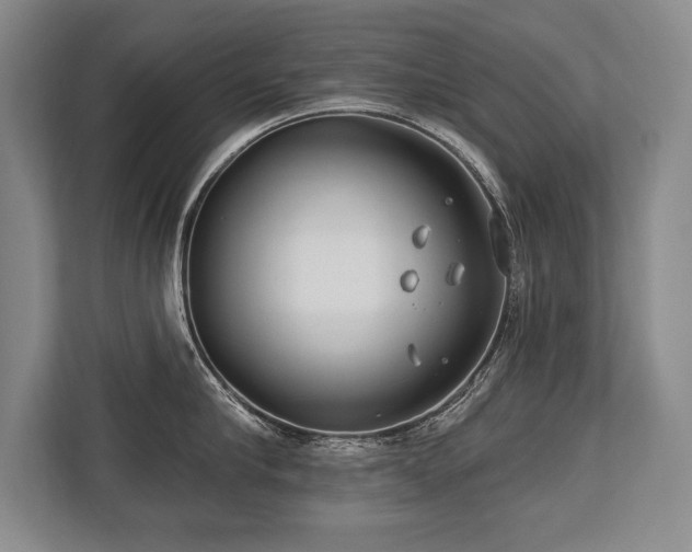 X0000113740910200909231150