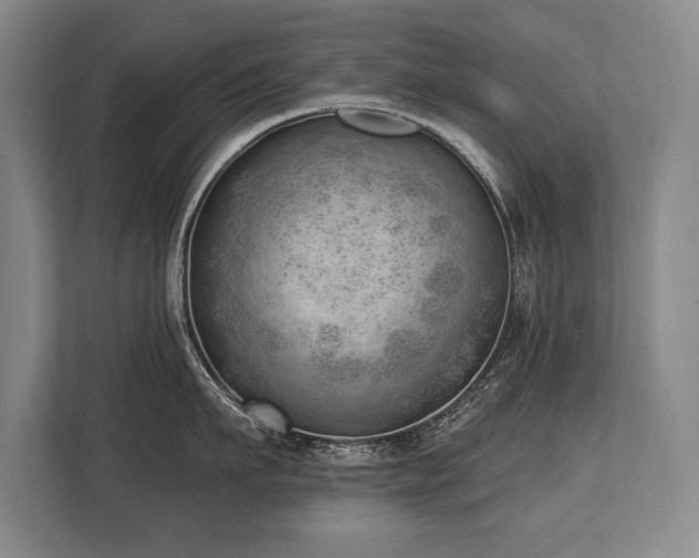 X0000113740911200909231150