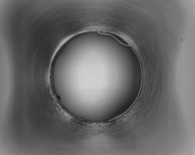 X0000113740912200909231150