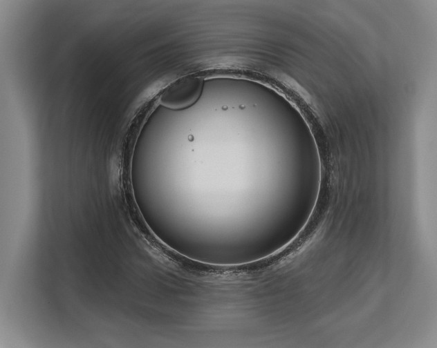 X0000113740922200909231149