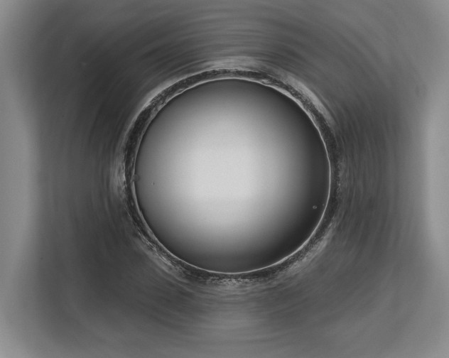 X0000113740923200909231149