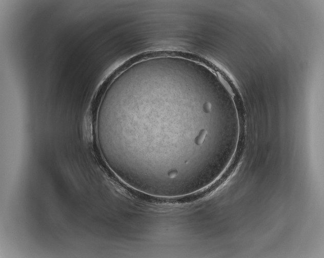 X0000113740925200909231149