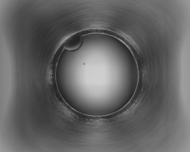 X0000113740926200909231149