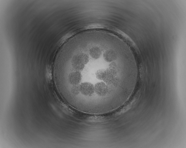 X0000113740929200909231149