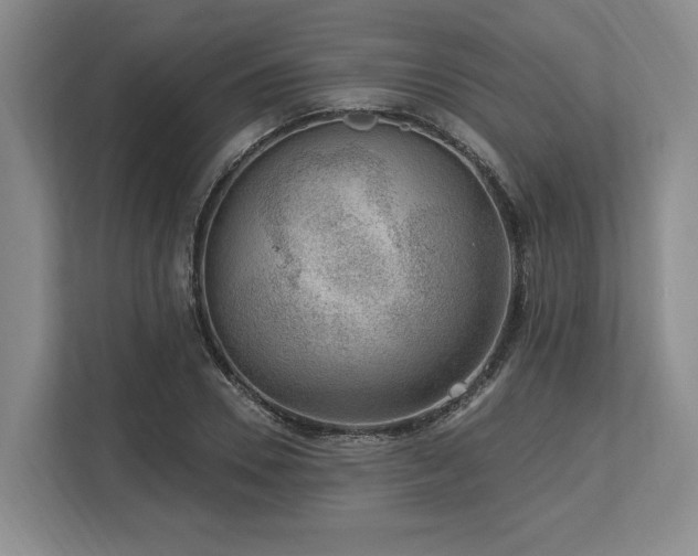 X0000113740930200909231149