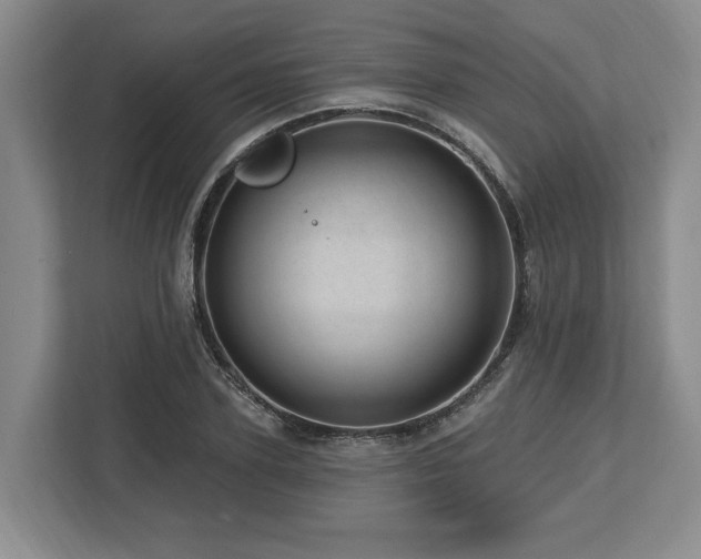 X0000113740931200909231149