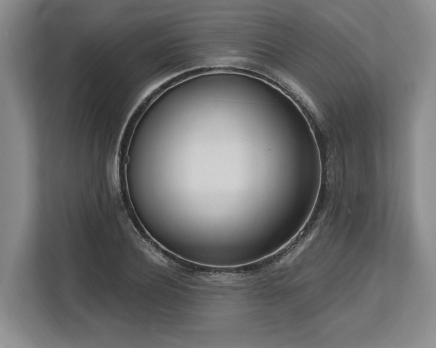 X0000113740932200909231149