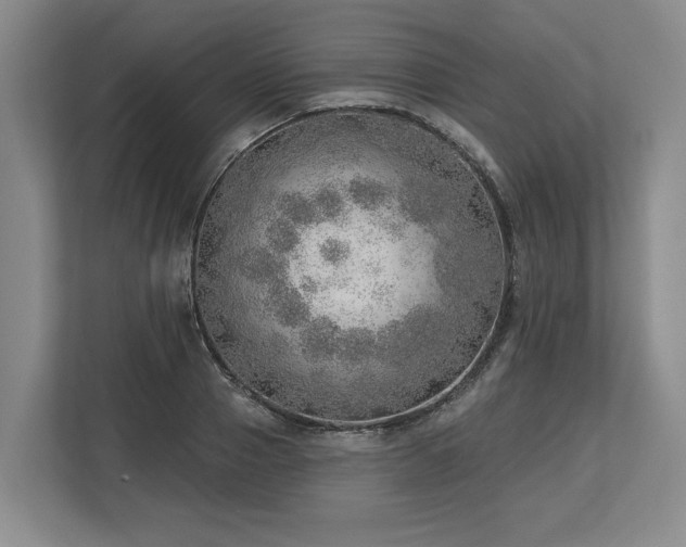 X0000113740937200909231149