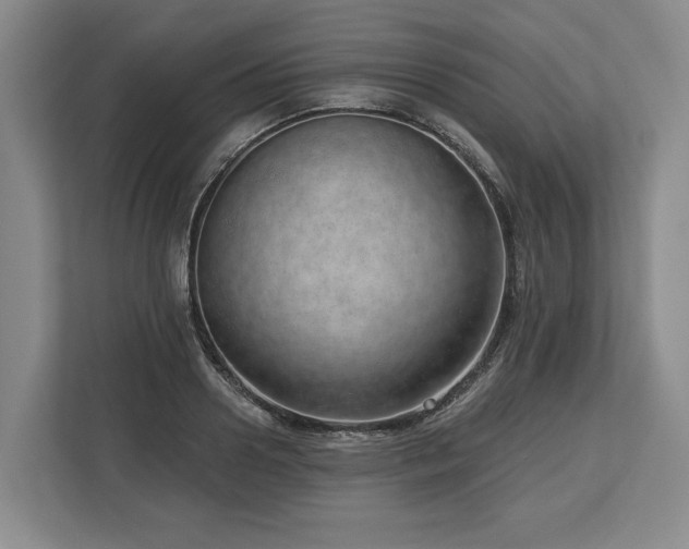 X0000113740938200909231149