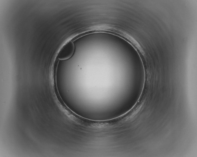X0000113740939200909231149