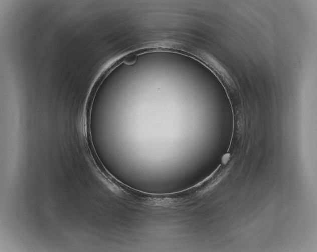 X0000113740940200909231149