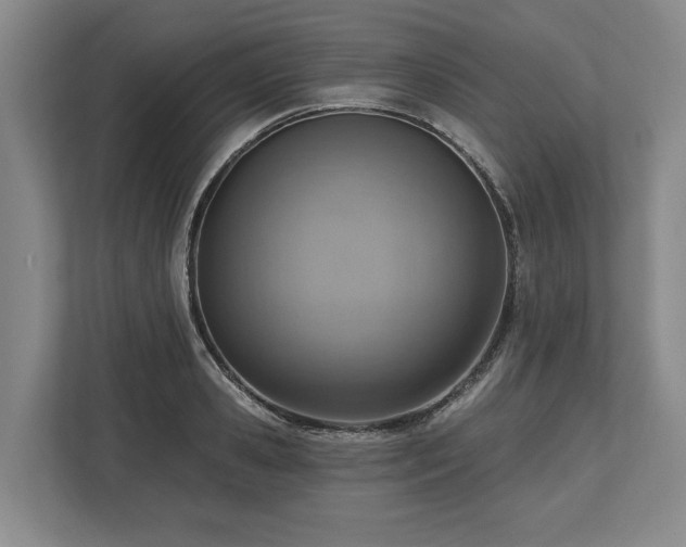 X0000113740941200909231149