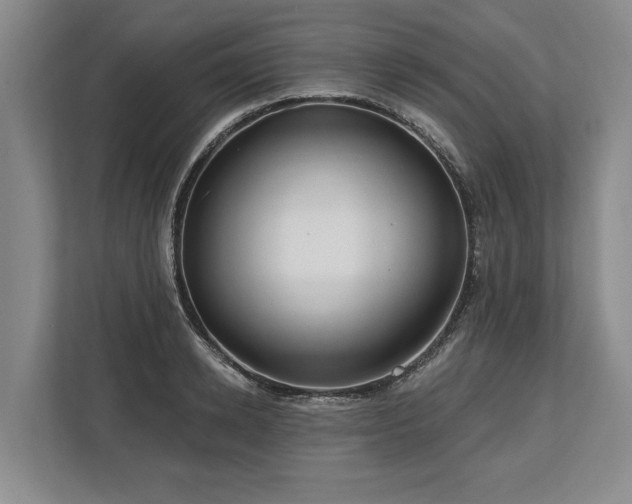 X0000113740942200909231149