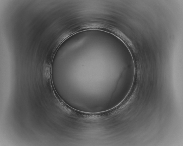 X0000113740945200909231149
