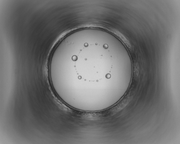 X0000113740950200909231149
