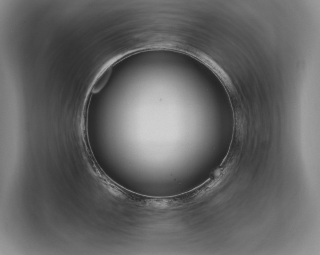 X0000113740956200909231150