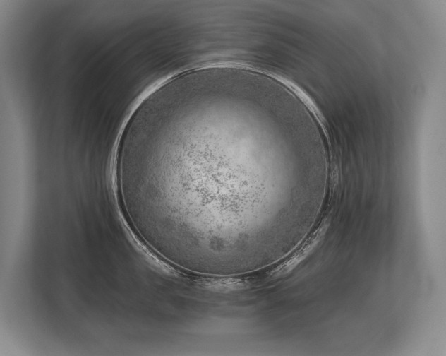 X0000113740957200909231150