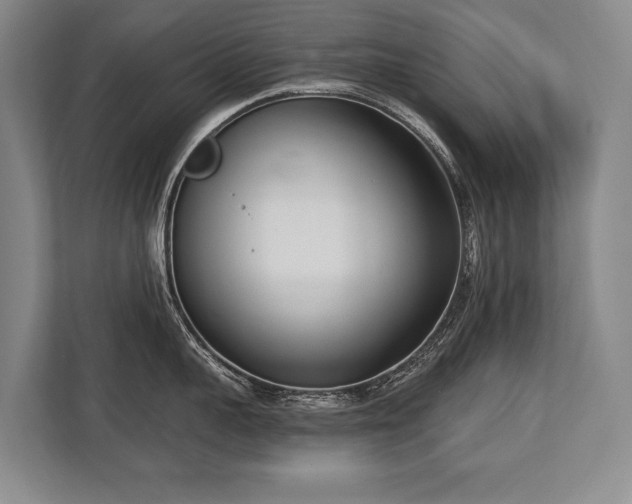 X0000113740959200909231150