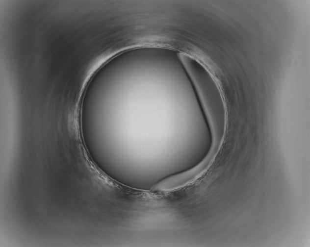 X0000113740960200909231150