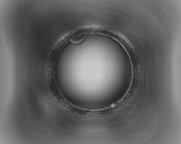 X0000113740967200909231149