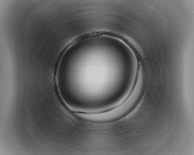 X0000113740977200909231149