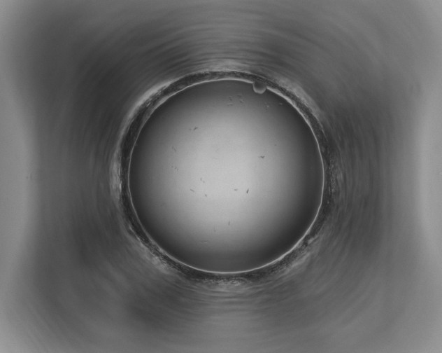 X0000113740979200909231149