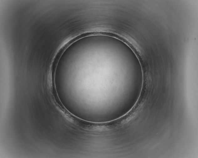 X0000113740982200909231149