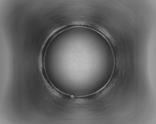 X0000113740984200909231149