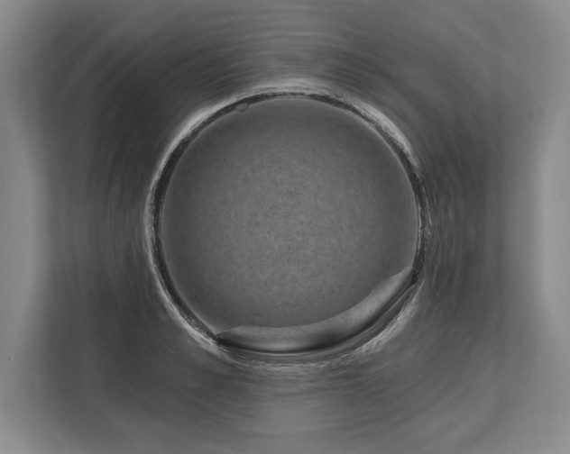 X0000113740989200909231149