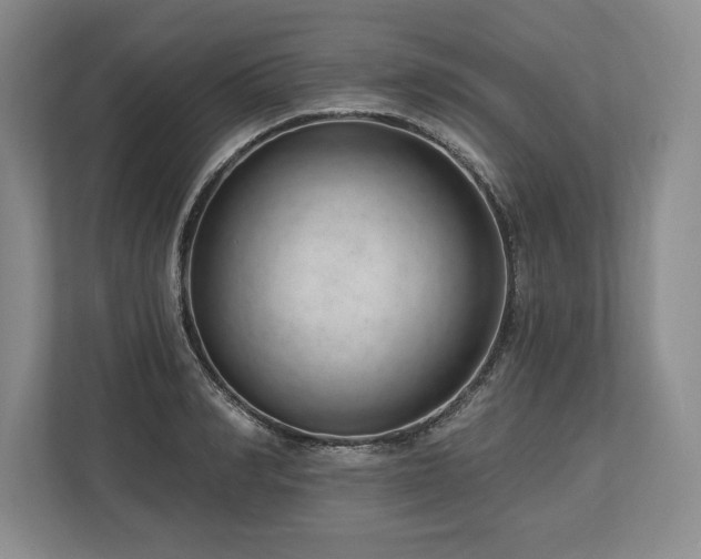 X0000113740990200909231149