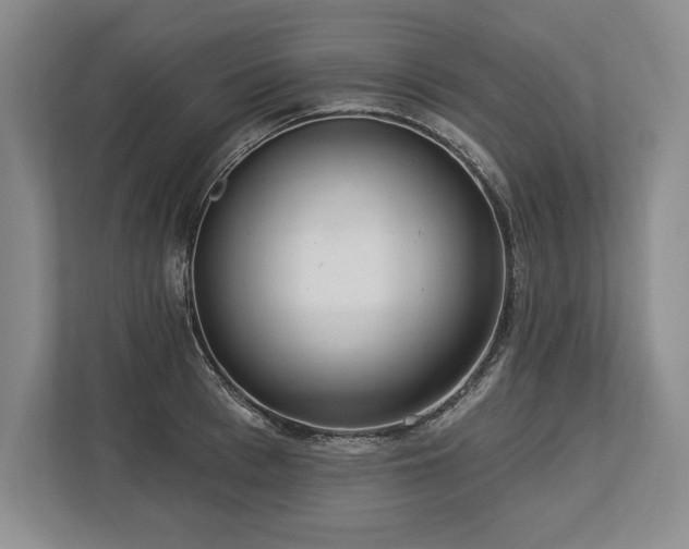 X0000113740993200909231149