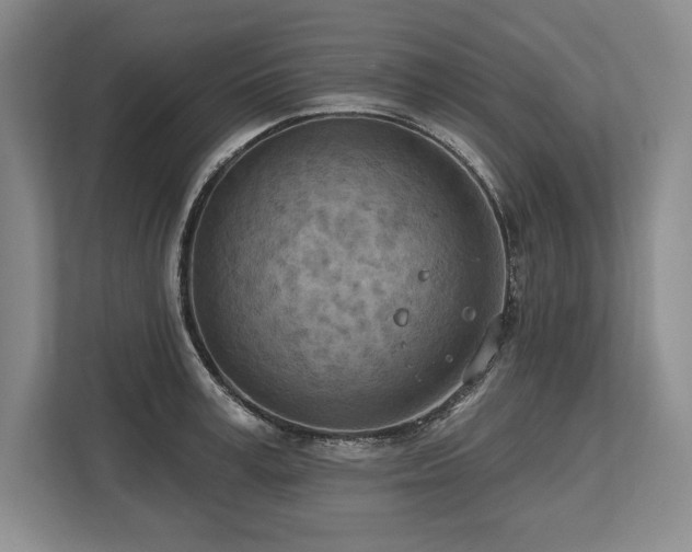 X0000113740995200909231148