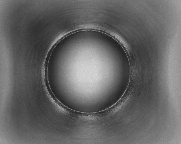 X0000113740999200909231148