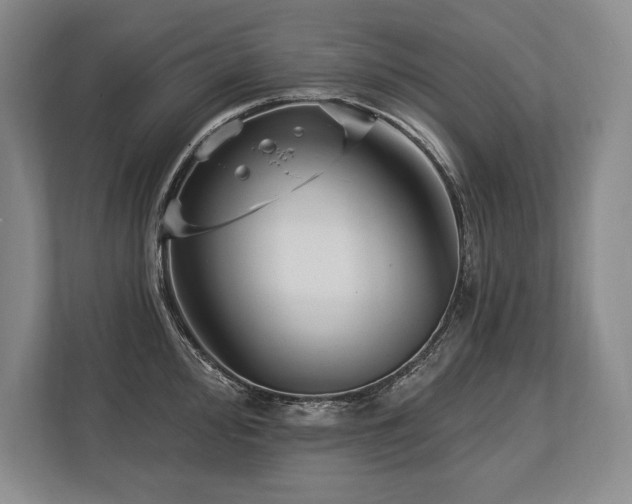 X0000113741000200909231148