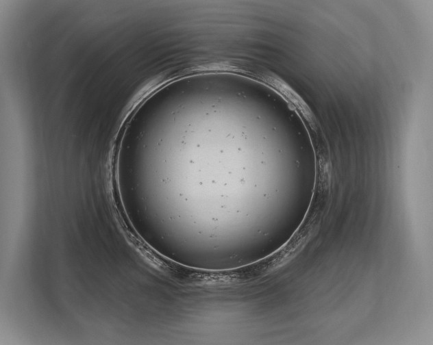 X0000113741002200909231148